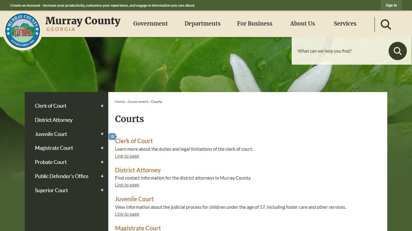 Courts | Murray County, GA - Official Website